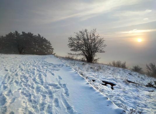 zima na Zlatém koni u Koněprus