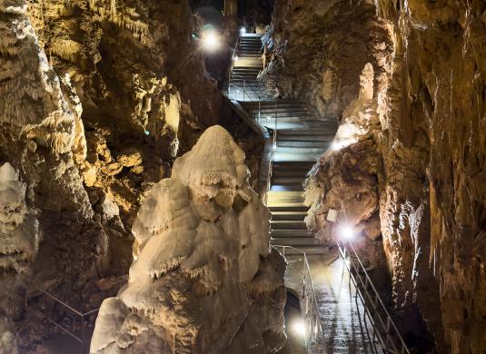Probouzení netopýrů v Javoříčských jeskyních, 23. 3. 2024