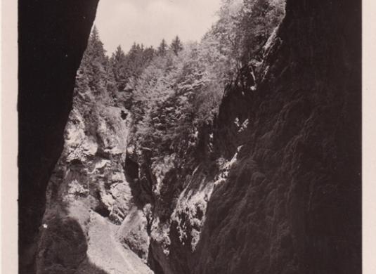 Macocha (nedatováno)