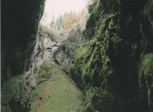 Dno propasti Macocha (2006)