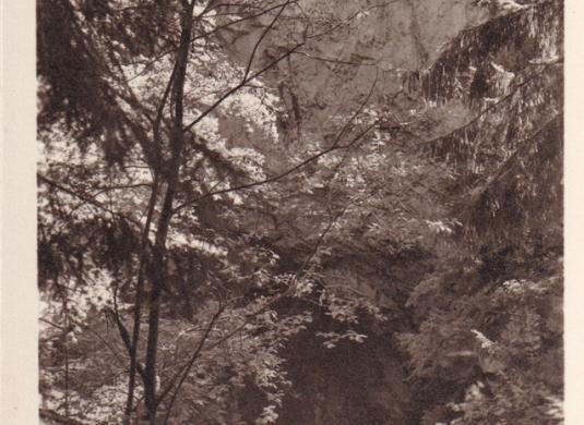 Moravký kras-Propast Macocha (nedatováno)