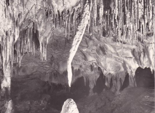 Jeskyně Balcarka (nedatováno)