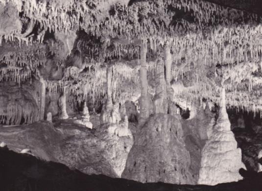 Jeskyně Balcarka (nedatováno) První galerie. Strop s brčky – v popředí špičková pagoda