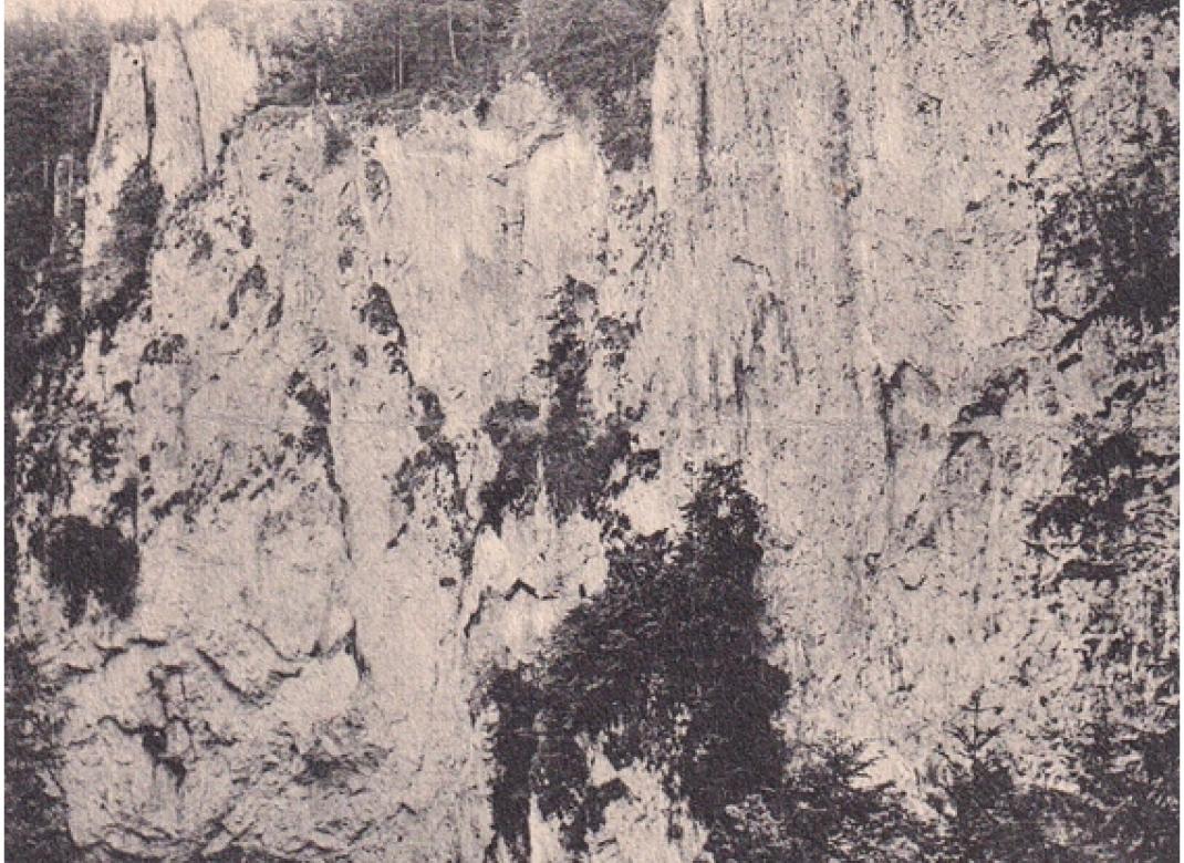 Mazocha  (1902)