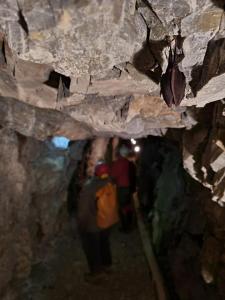 sčítání letounů pod Třesínem, únor 2022