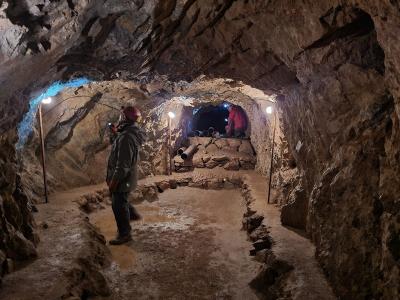 sčítání letounů pod Třesínem, únor 2022