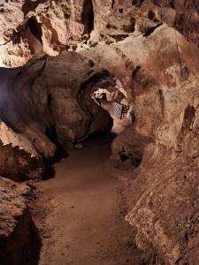 sčítání letounů pod Třesínem, únor 2022