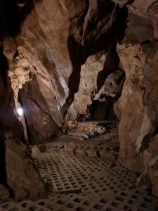 sčítání letounů pod Třesínem, únor 2022