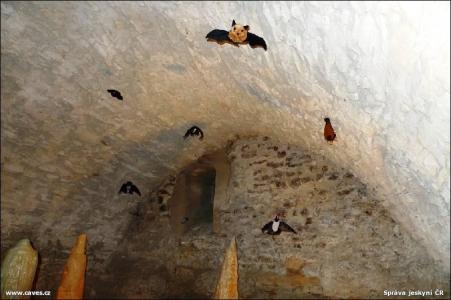 Dny jeskyní 2012 - výstava v zámku Ctěnice
