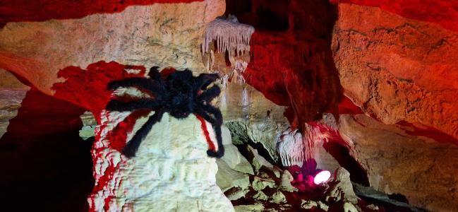 Mikuláš a čerti na Zlatém koni, 1. -5. 12. 2023