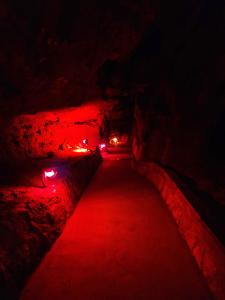 Mikuláš a čerti na Zlatém koni, 1. -5. 12. 2023