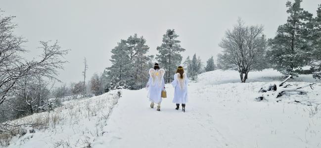 Mikuláš a čerti na Zlatém koni, 1. -5. 12. 2023