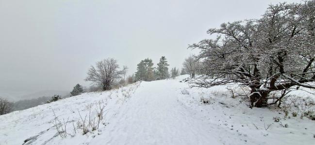 Mikuláš a čerti na Zlatém koni, 1. -5. 12. 2023