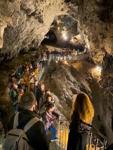 Umělecký festival 7° ve Sloupsko-šošůvských jeskyních