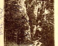 část Suchého žlebu - dobový pohled