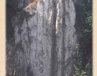 Vilémovice – propast Macocha (nedatováno)