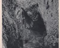 Macocha. (nedatováno)