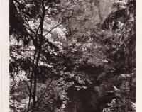 Propast Macocha – Pohled z dolního můstku (nedatováno)