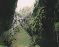 Dno propasti Macocha (2006)