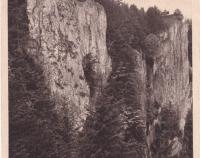 Nezvyklý pohled na hlavní stěny propasti Macochy, pyšně se do výšky tyčící, z jejího lesnatého srázného svahu, avšak po velmi opatrném sestoupení do 30 m hloubky po stráni do propasti (nedatováno)
