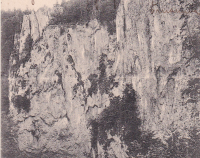 Mazocha  (nedatováno)