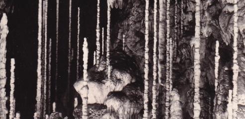 Kateřinská jeskyně (1958)